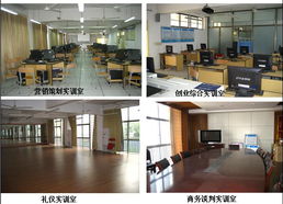 市場(chǎng)營(yíng)銷(xiāo)策劃精品課程網(wǎng)站 賦能新時(shí)代營(yíng)銷(xiāo)人才的數(shù)字平臺(tái)